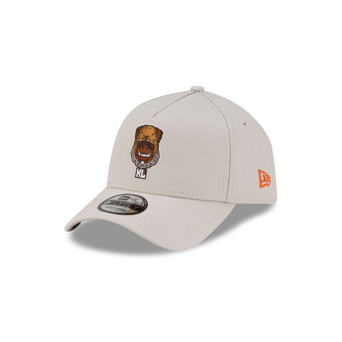 Cleveland Browns Dawg Pound 40th Anniversary 9FORTY A-Frame Snapback Hat